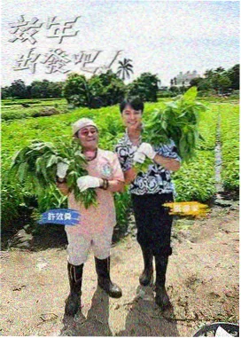 音浪现场 音乐综艺海报