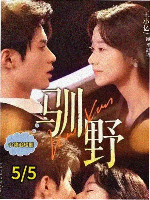 写字楼的春天 职场剧海报
